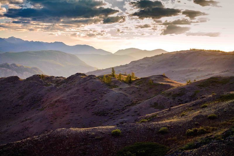 Алтай, Россия, Северо-чуйский хребет, Сибирь Алтай. фото превью