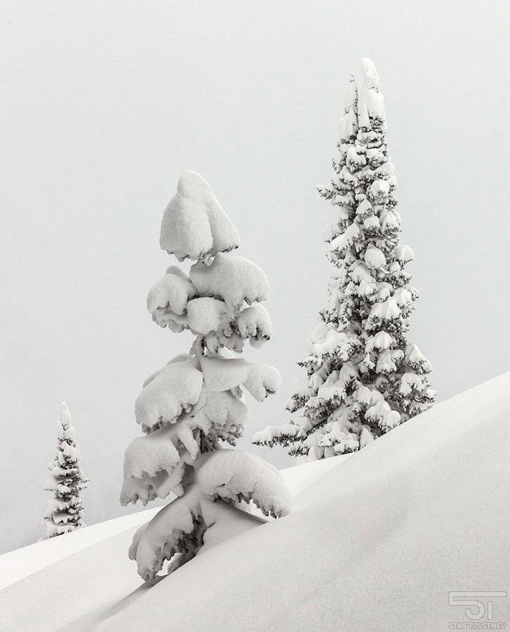 , Станислав Толстнев