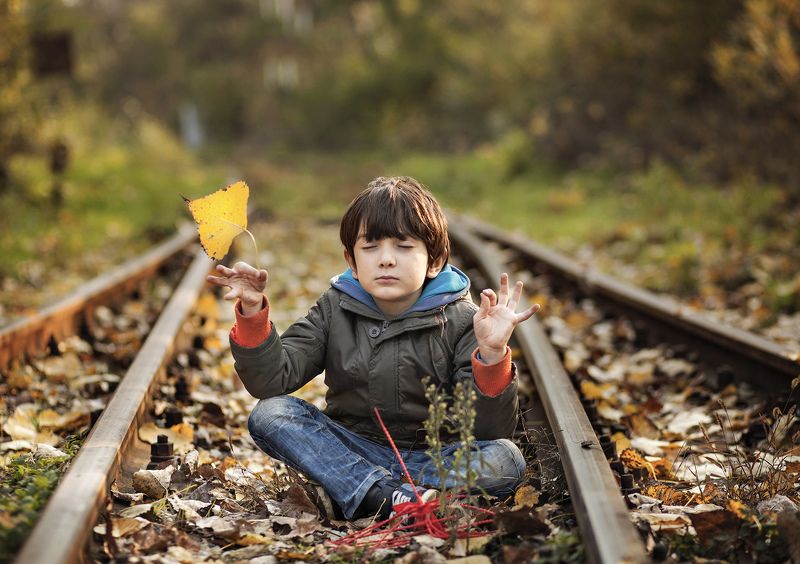 the Leaf фото превью