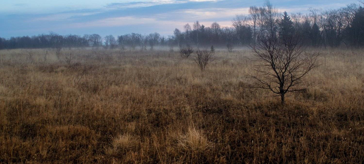 , Виталий Курин