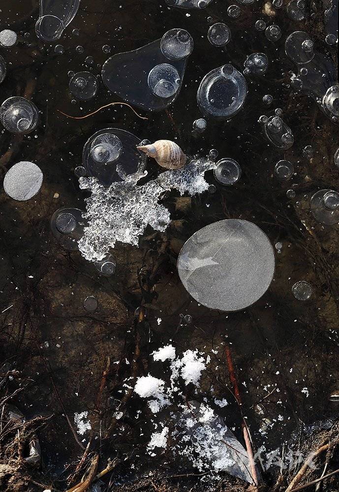 , Шангареев Марс