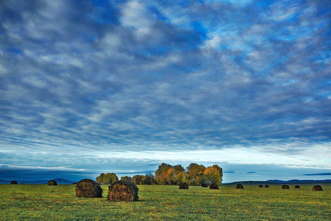 , Качурин Алексей