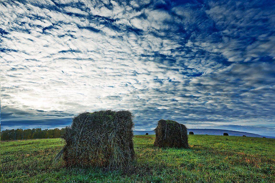 Качурин, Качурин алексей, Оребургская область, Орск, Качурин Алексей