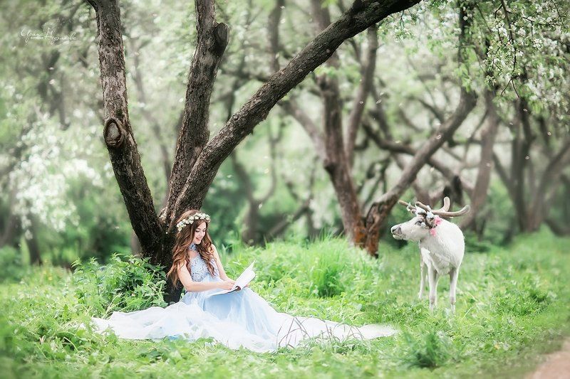 фото превью