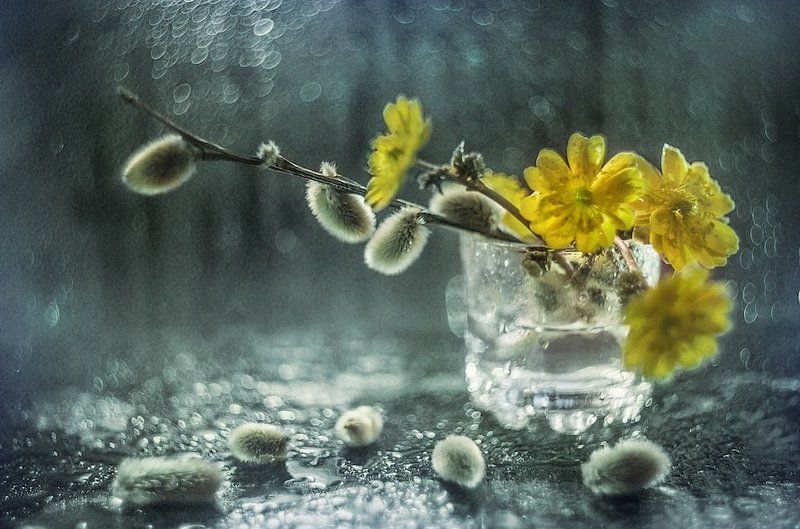 Весенняя фото превью