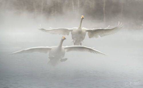 Идем на посадку!