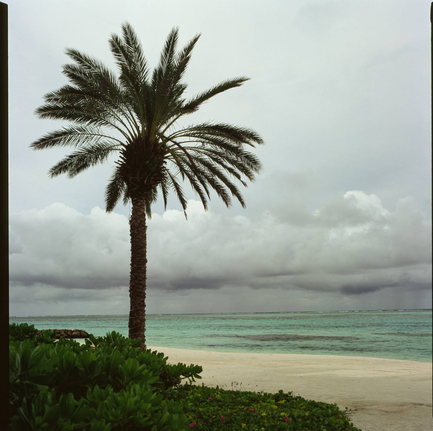 film, analog, analog photo, film photography, пленка, плёночная фотография, medium format, 120mm, 120 film, 6x6, средний формат, bronica, bronica sq-a, Zenzanon, Zenzanon80mm, Fujifilm, Fujichrome, Velvia, Velvia 100, Fujichrome Velvia 100, Fujifilm Velvi, Попов Алексей