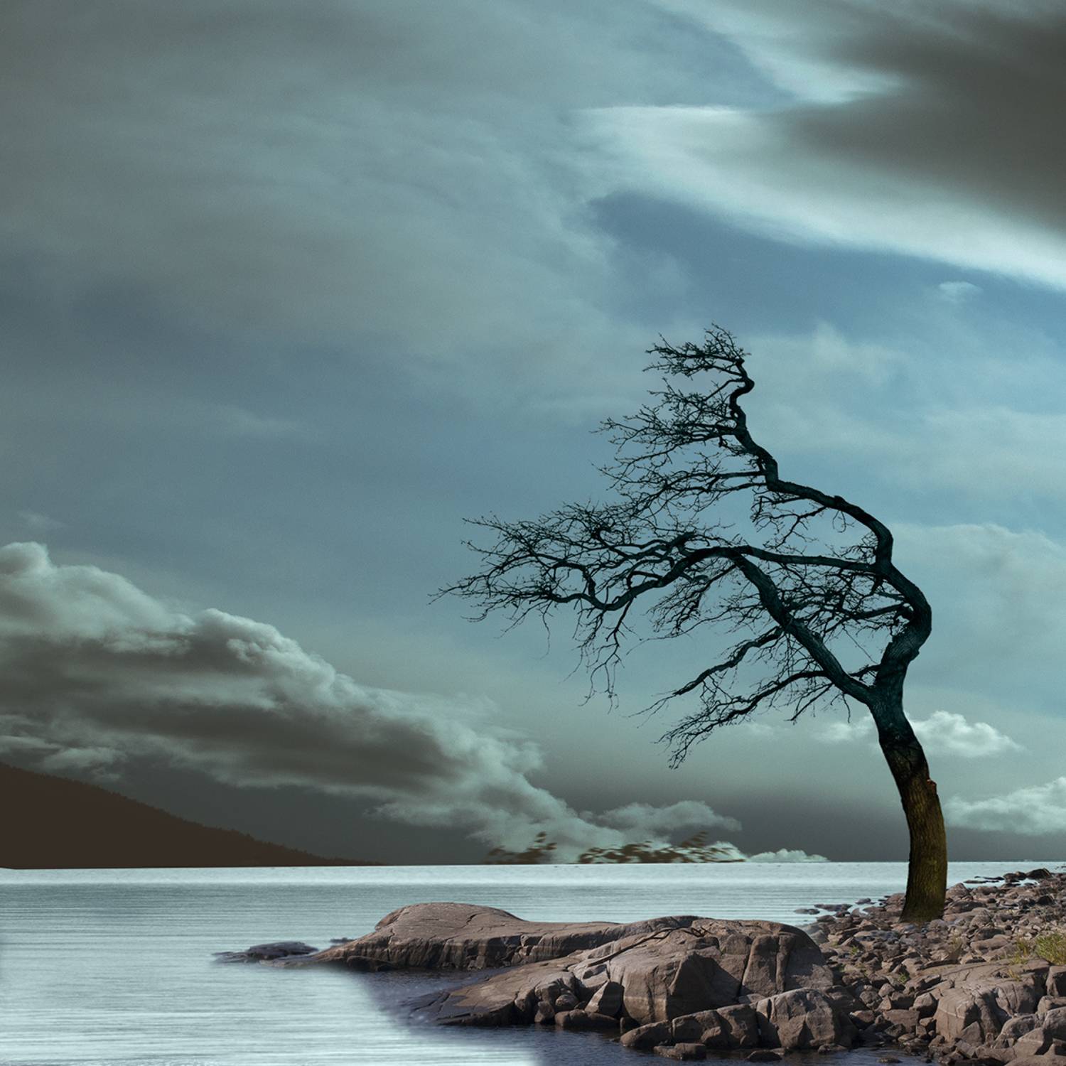 , T. Bondarenko