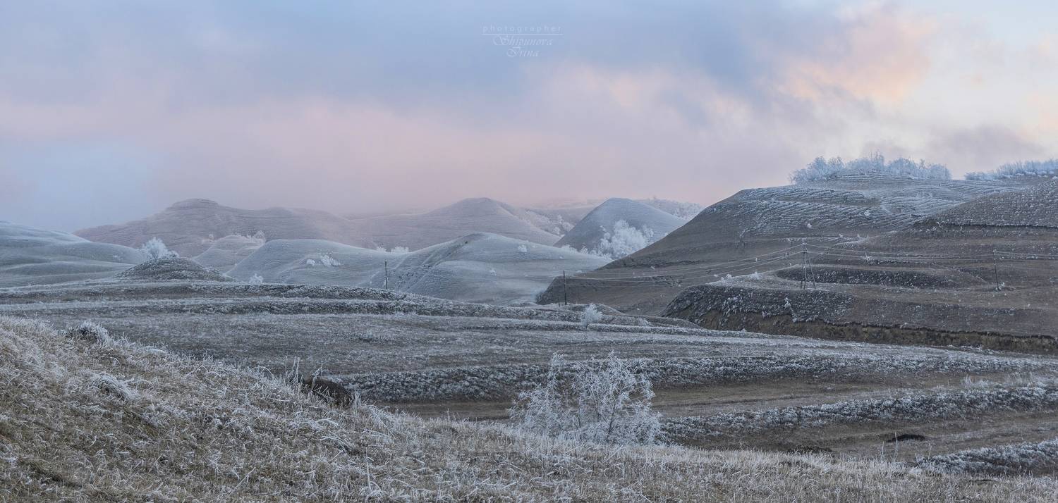 , Ирина Шипунова