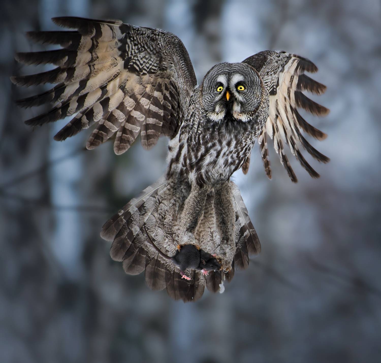 , Фото Александр