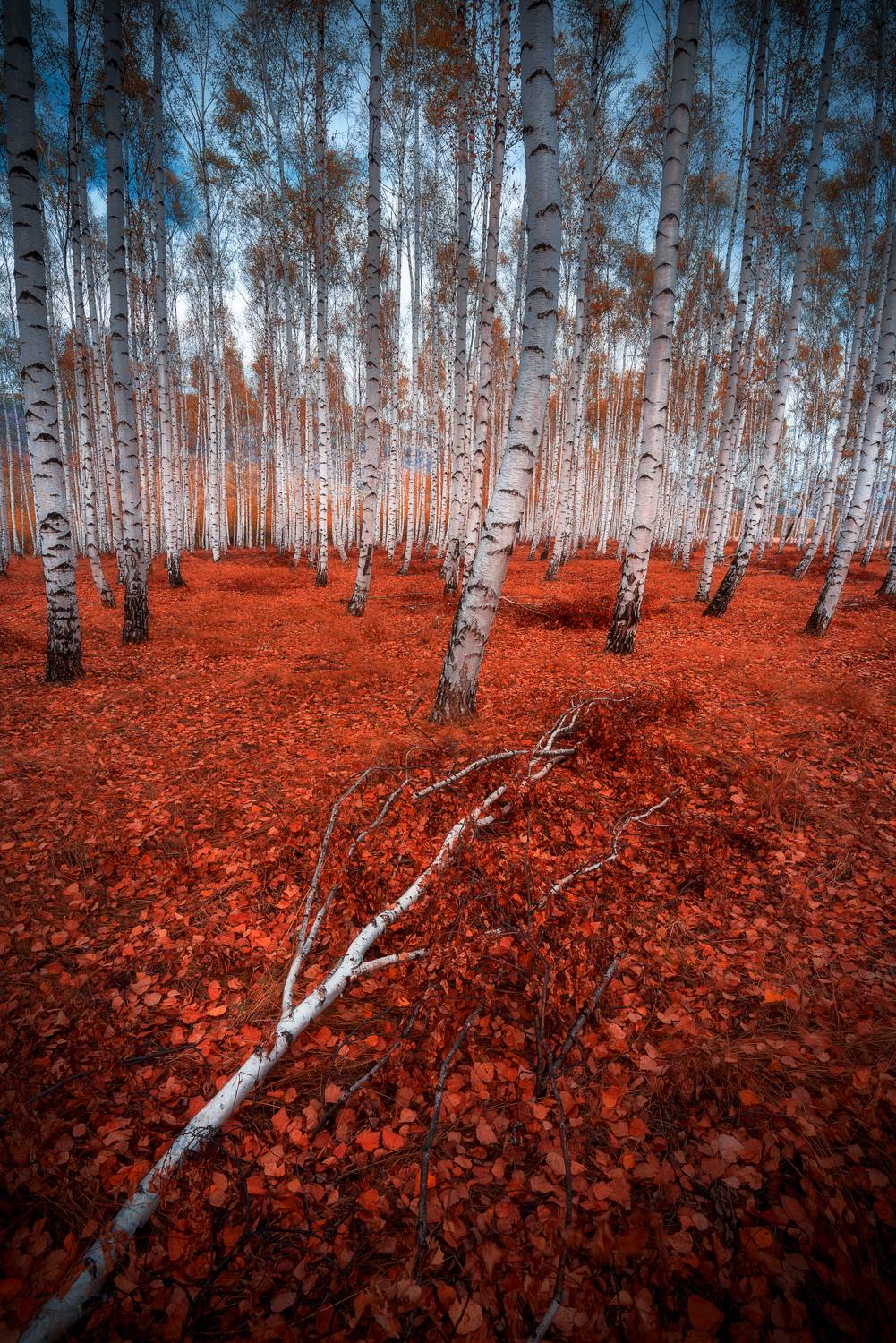 , Mariyana Atanasova - Lucero