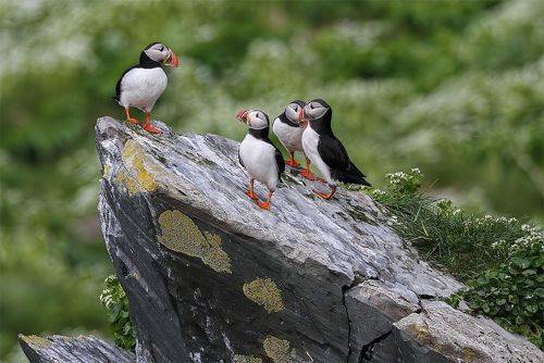 Вы были на Таити?