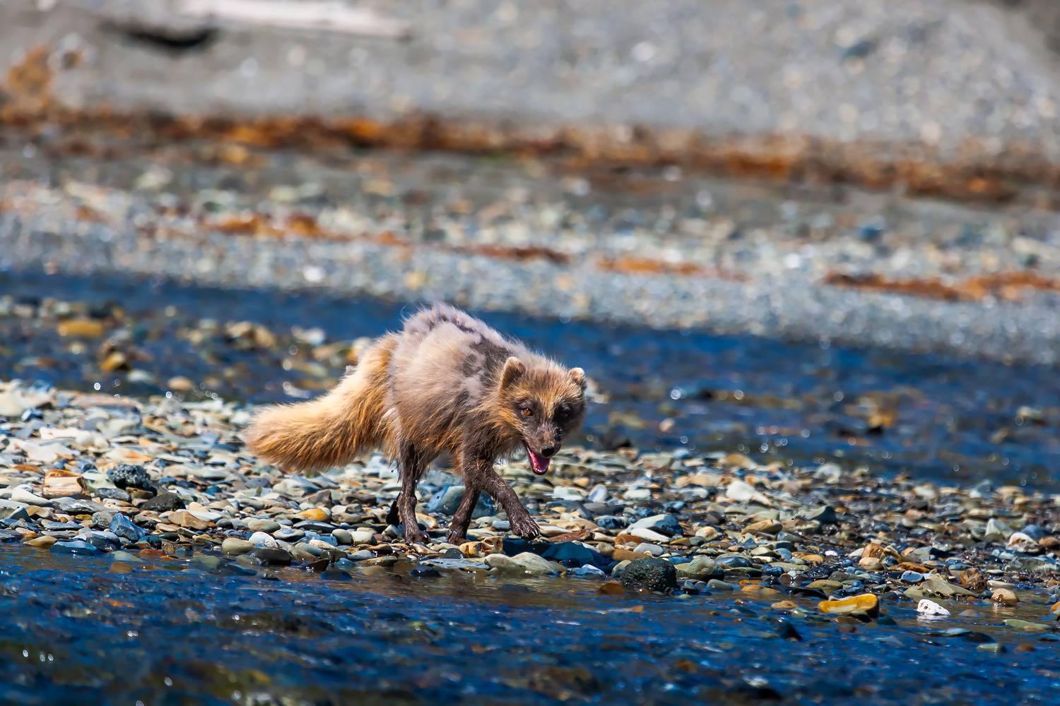 , Дмитрий Уткин