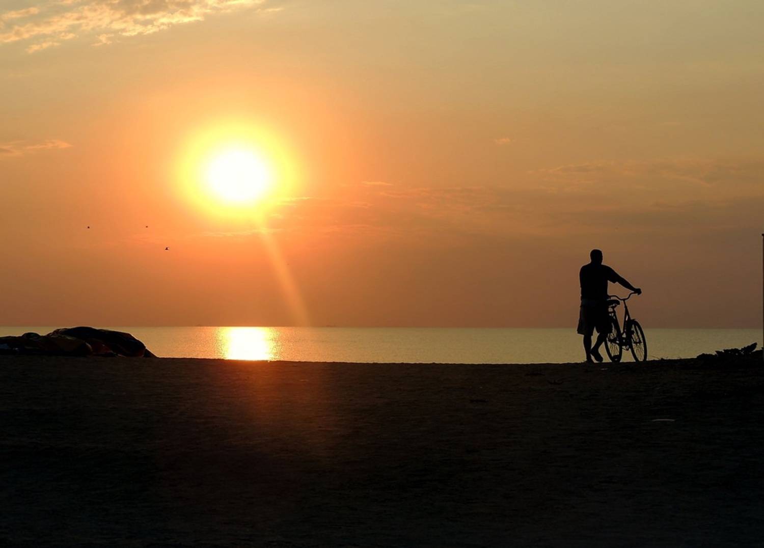 , Савоцкий Роман