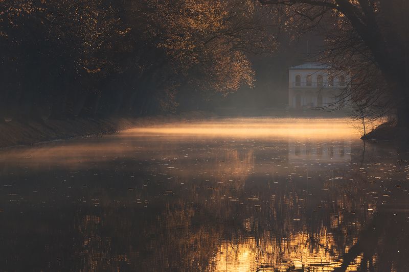 Garden фото превью