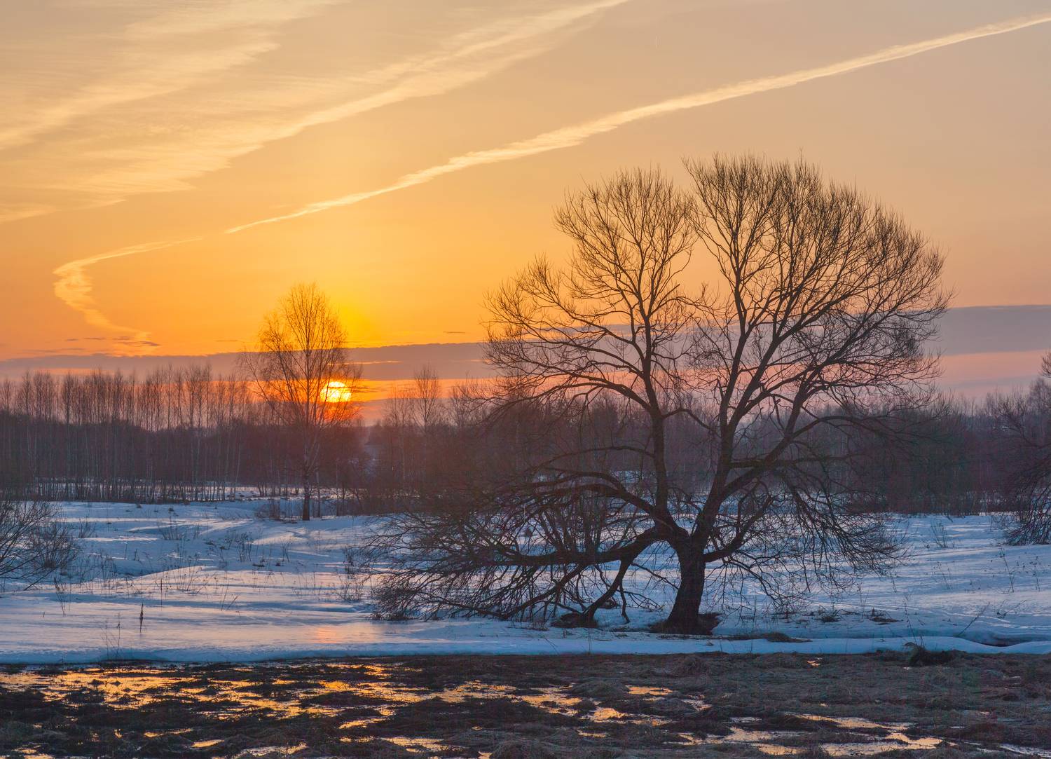 весна, рассвет, Свистков Александр