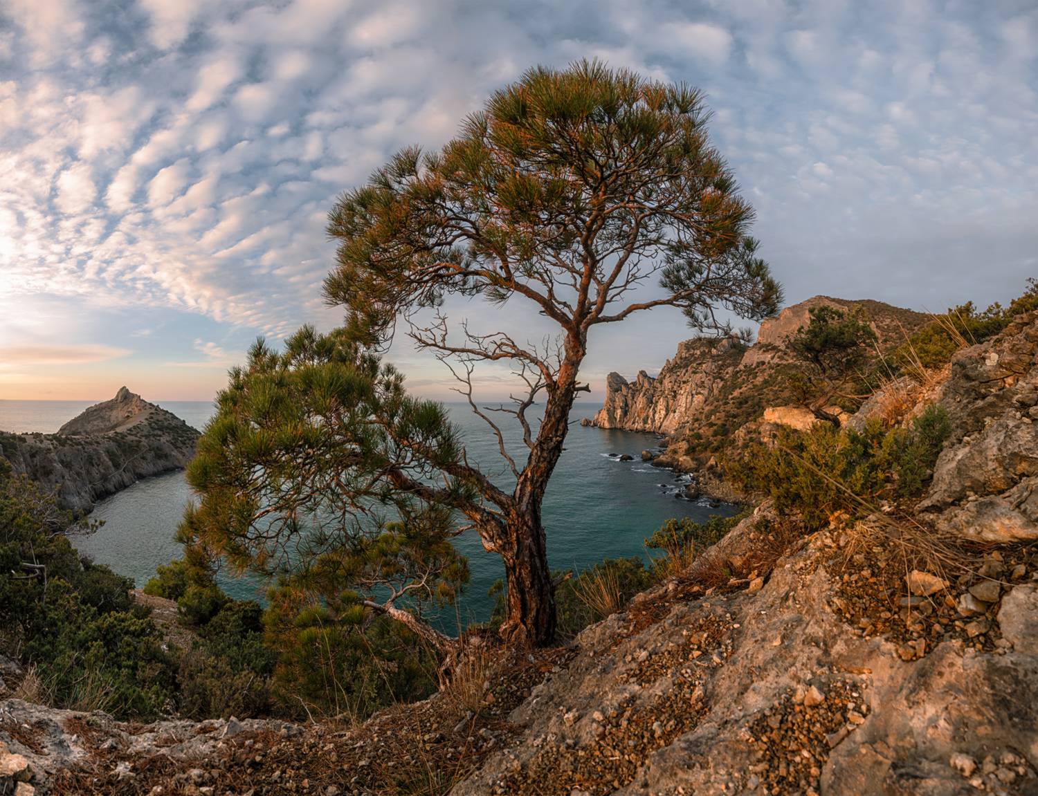 россия, крым, новый свет, рассвет, февраль, Мысливцев Николай