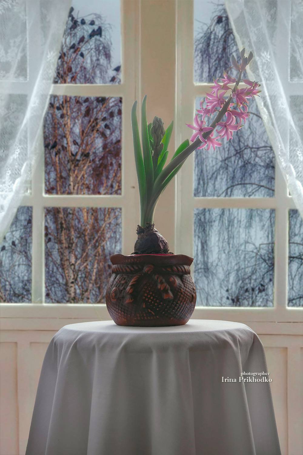 натюрморт, весна, дом, комната, окно, гиацинт, Приходько Ирина