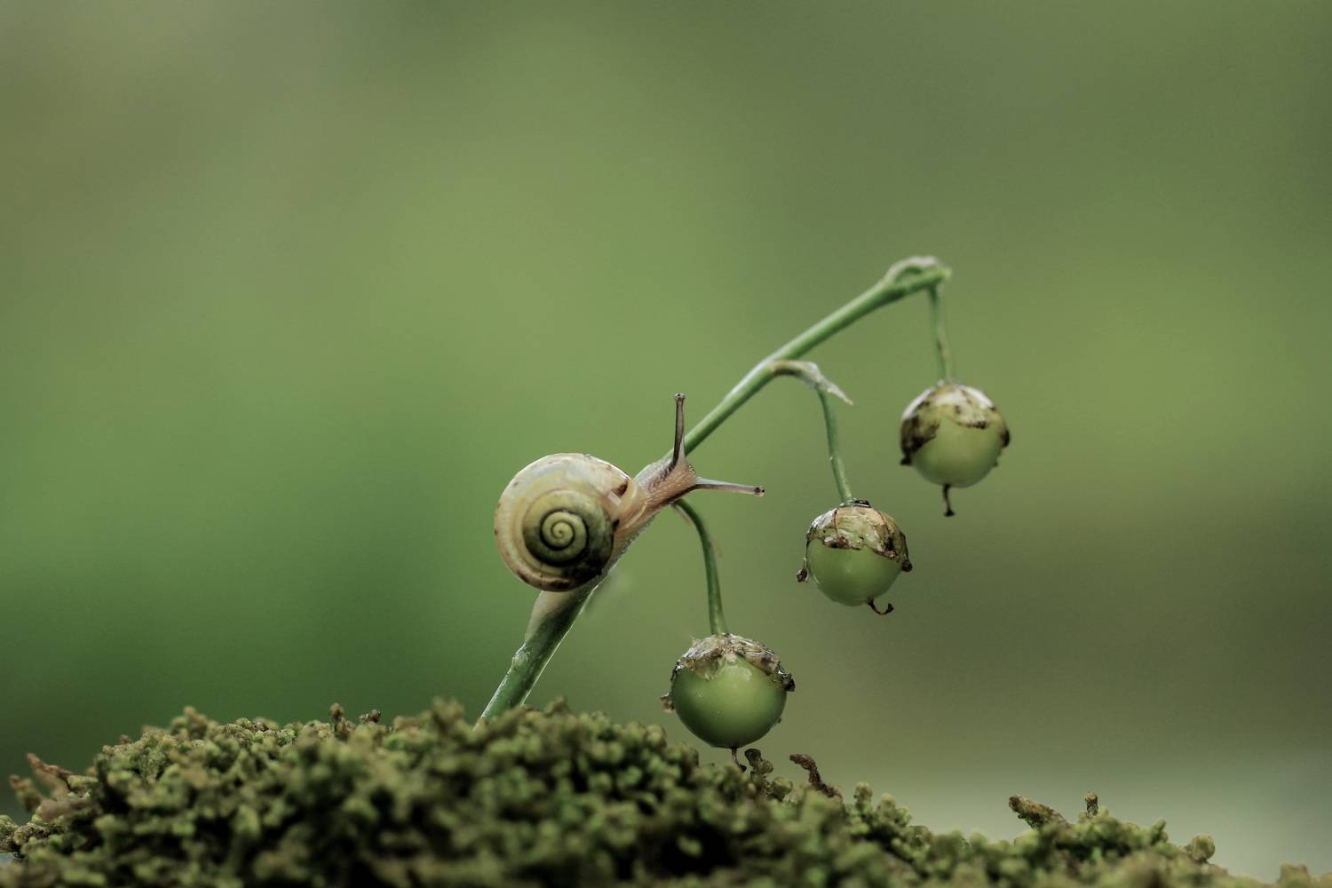 , Александра Юсупова