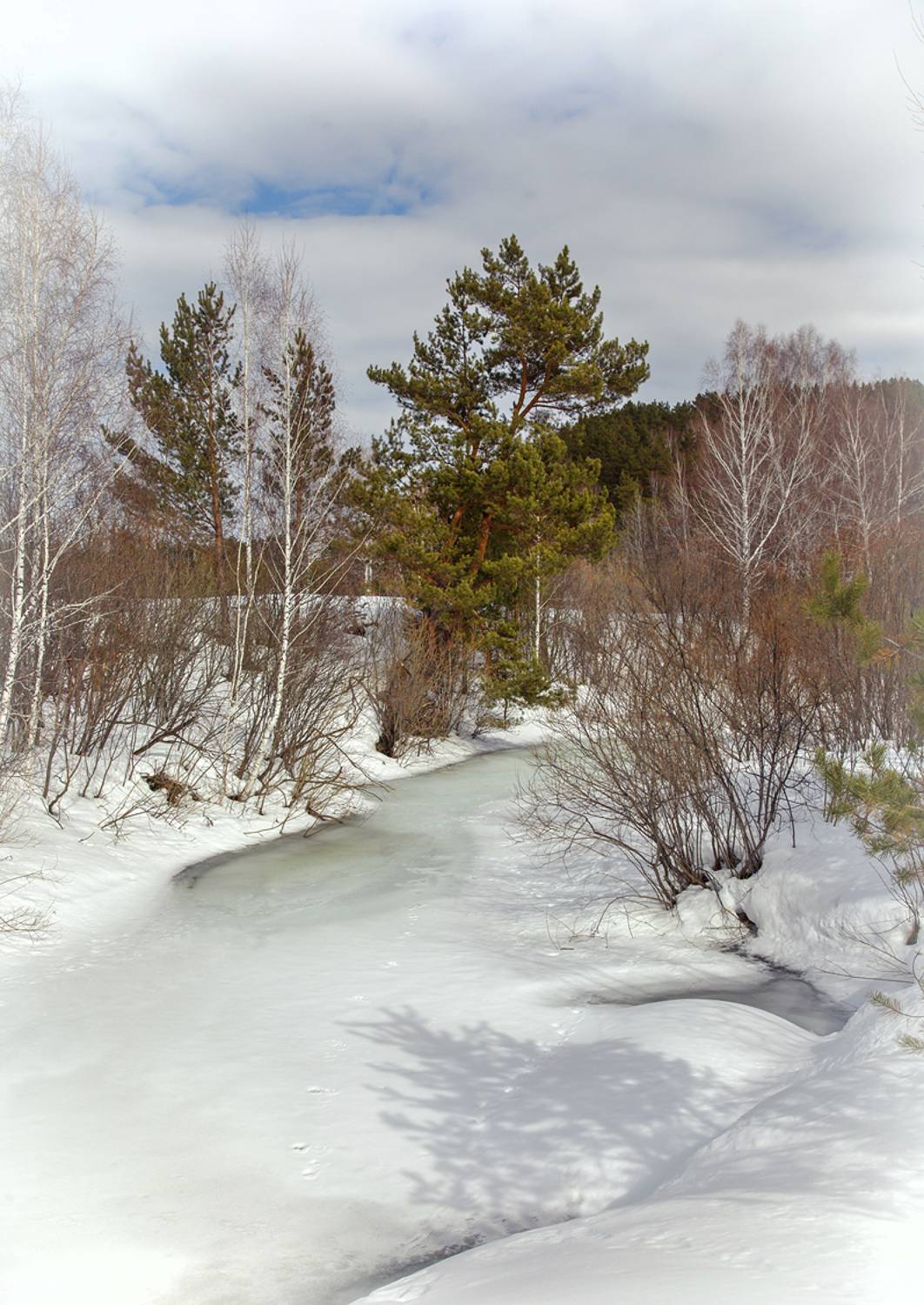 , Алексей Хахлов