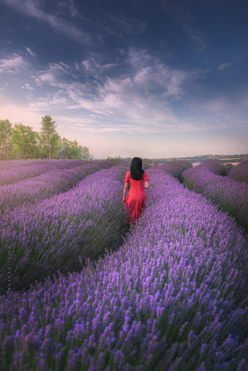 hungary, lavender field, woman, sunset, landscape, Kar&aacute;di Zita