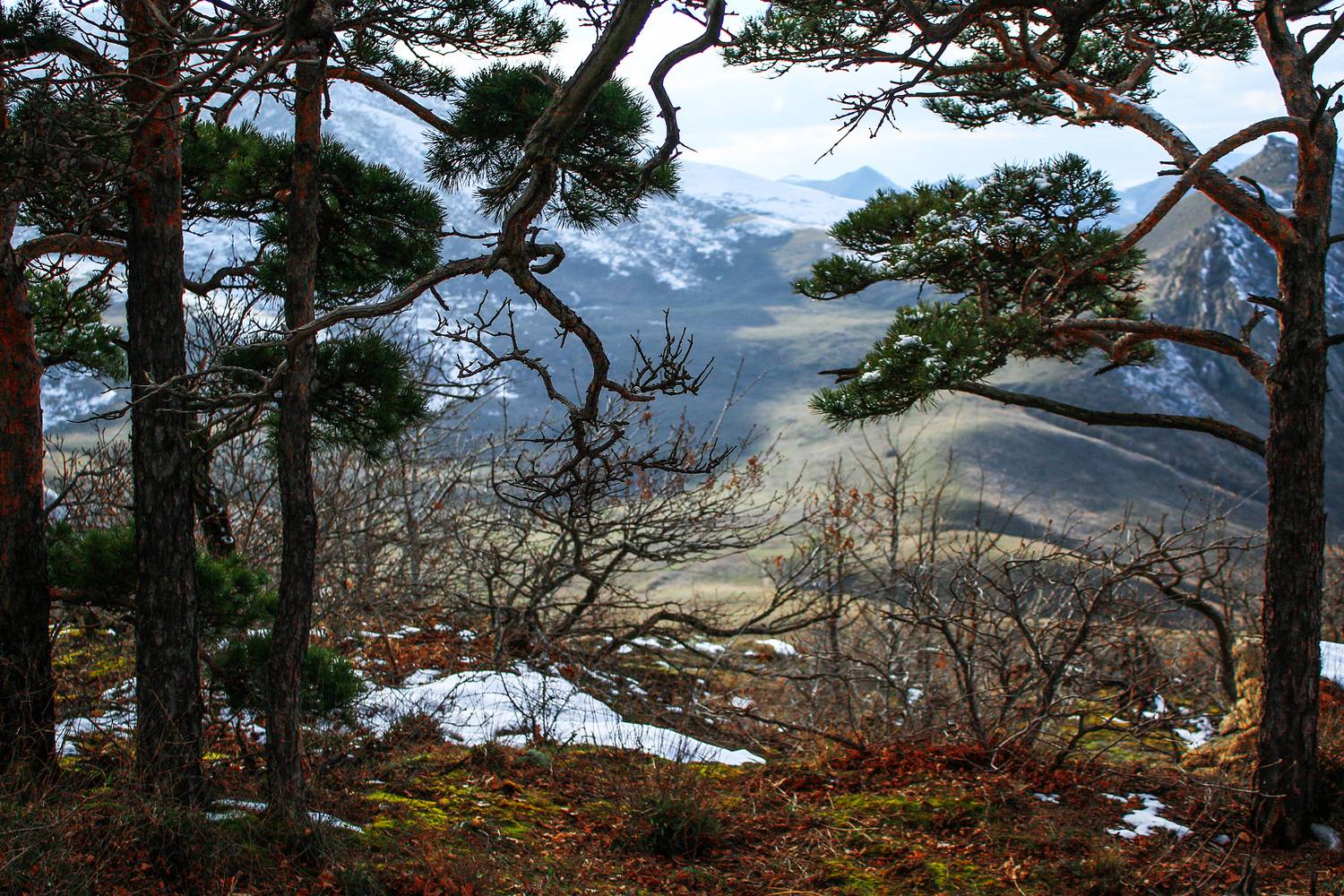 пейзаж,горы,дагестан,, Magov Marat