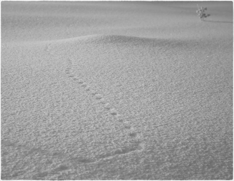 ... зима на исходе фото превью