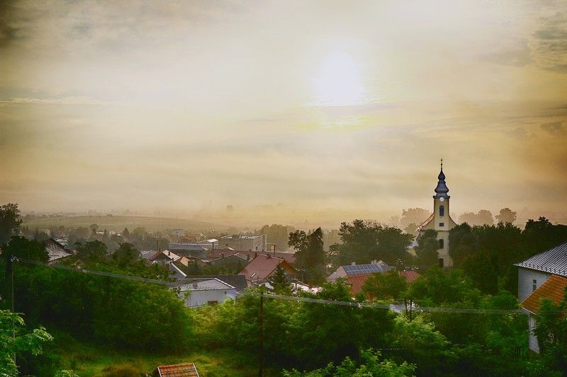 Foggy morning 4 фото превью