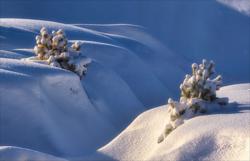 По снежным волнам фото превью