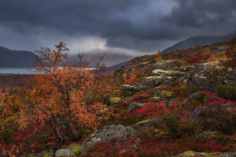 осень, хибины, север, горы, дождь, высота Про сказочный север, разноцветную осень и пасмурный день фото превью