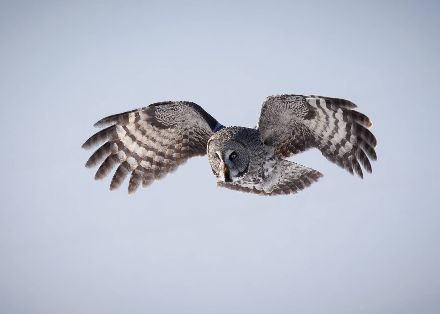 , Гильманов Артур