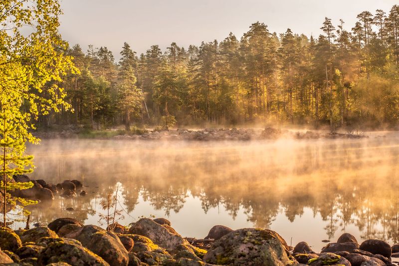 Morning Light фото превью
