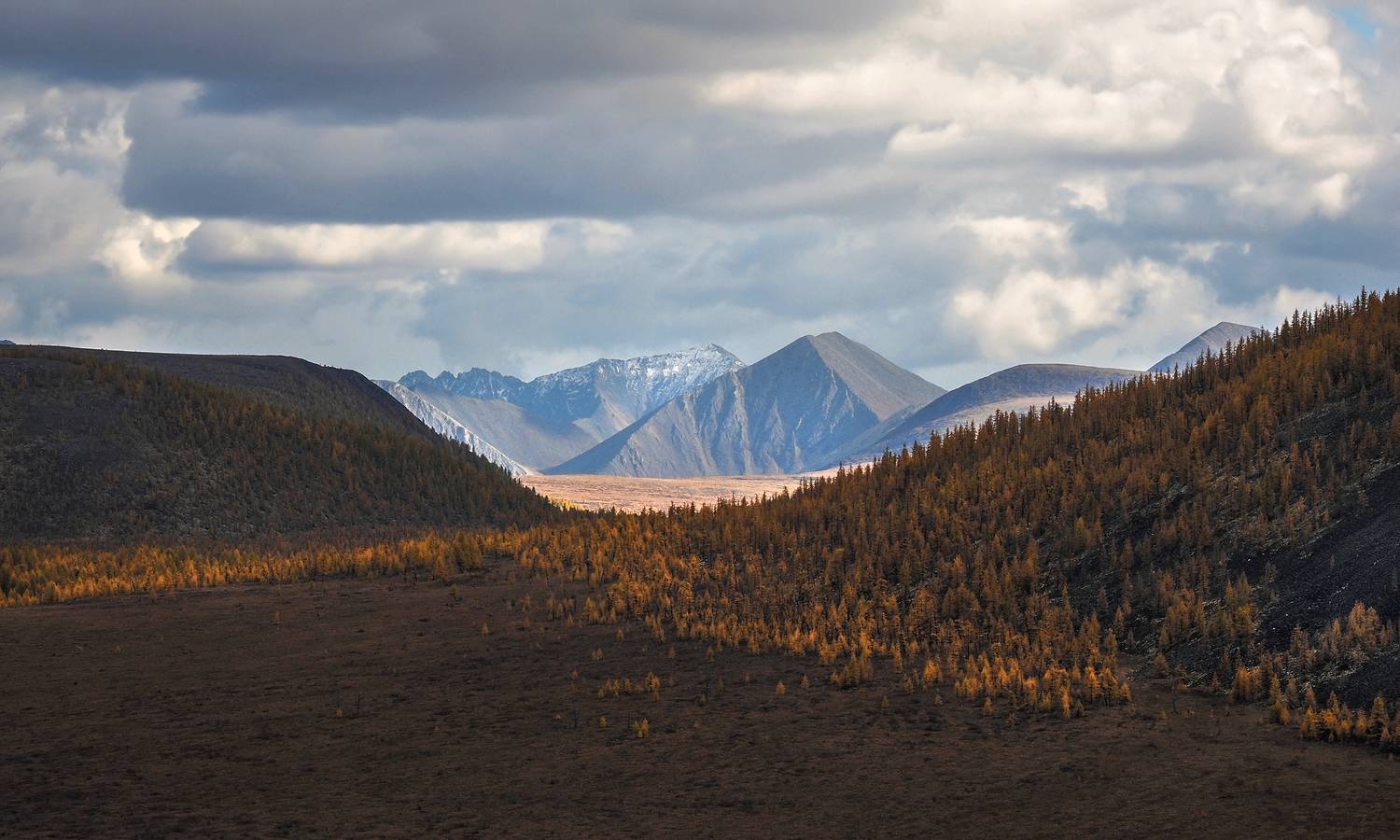 , Александр Попов