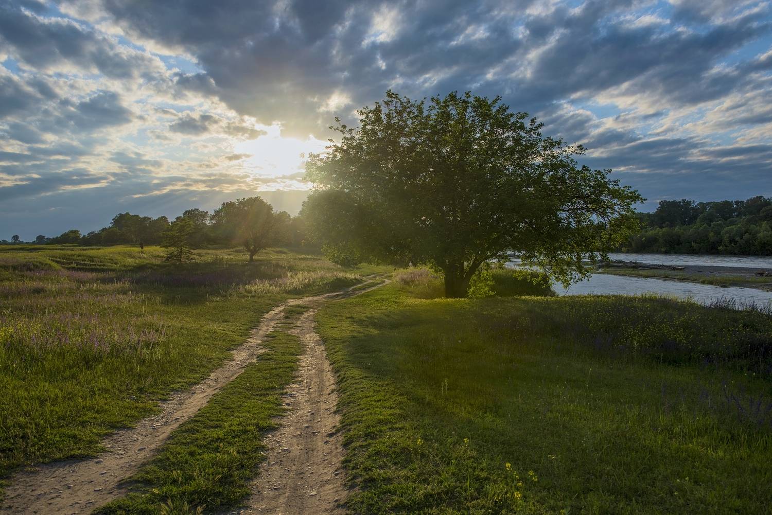 Кабардино-Балкария, река Терек, Хамидия, Урожайное, горные реки,, ivan