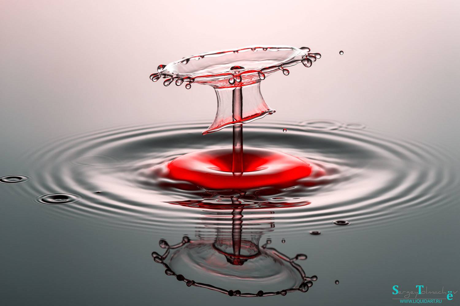сергейтолмачев, вода, капли, скульптурыизводы, всплеск, уменянакухне, жидкоеискусство, liquid, liquidart, water, waterdrop, macro, splash, Сергей Толмачев