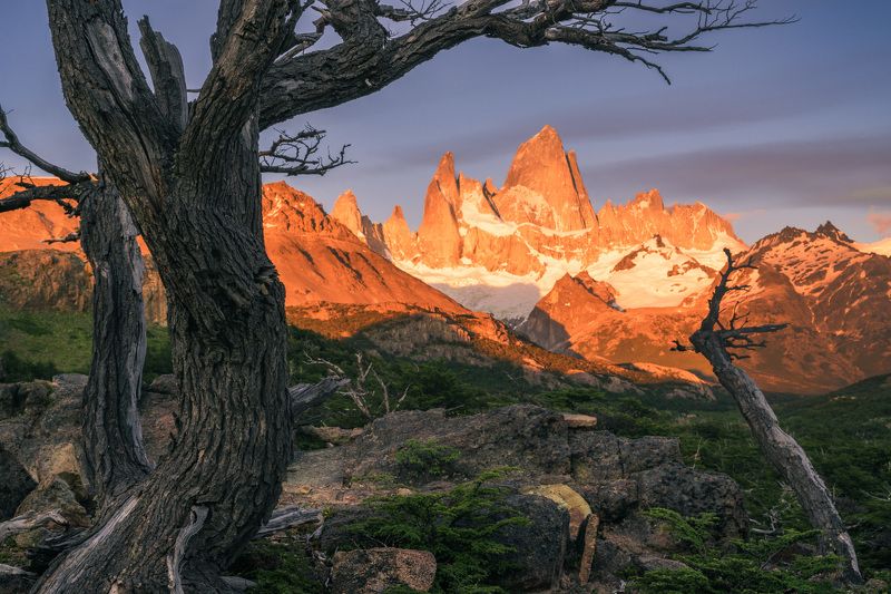 Рассвет с видом на Фицрой фото превью