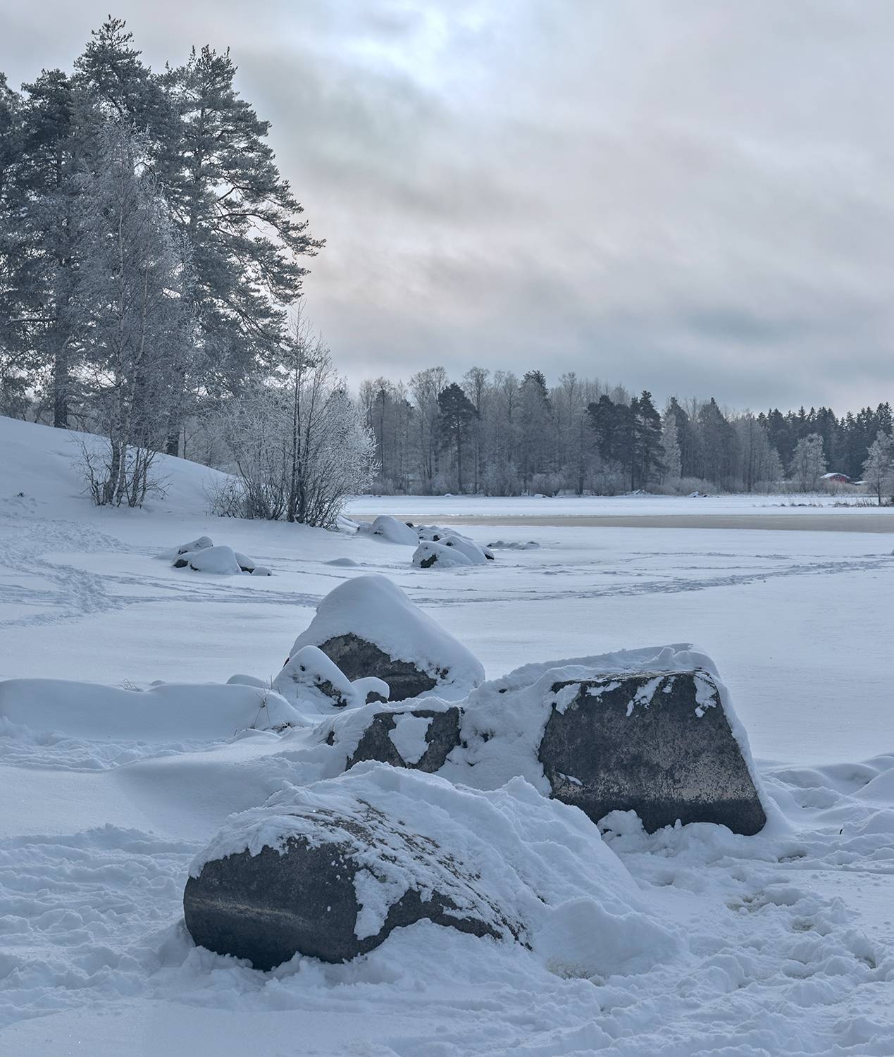 , Александр Смыков