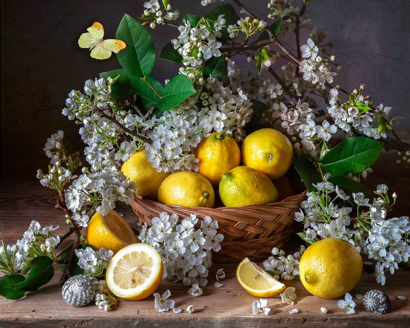 lemons, still life photography, botanical art Still life with Lemons фото превью