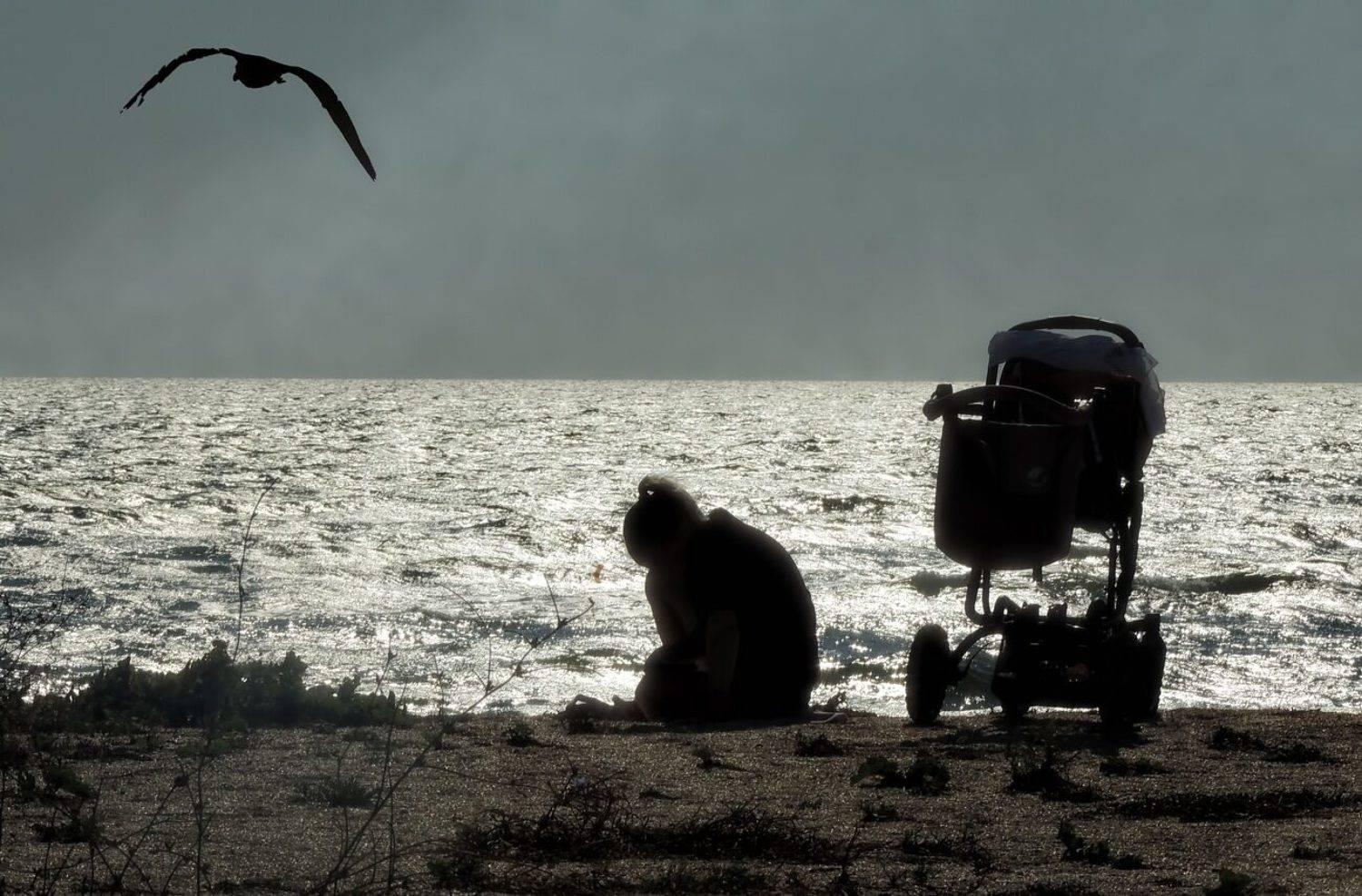 , Савоцкий Роман