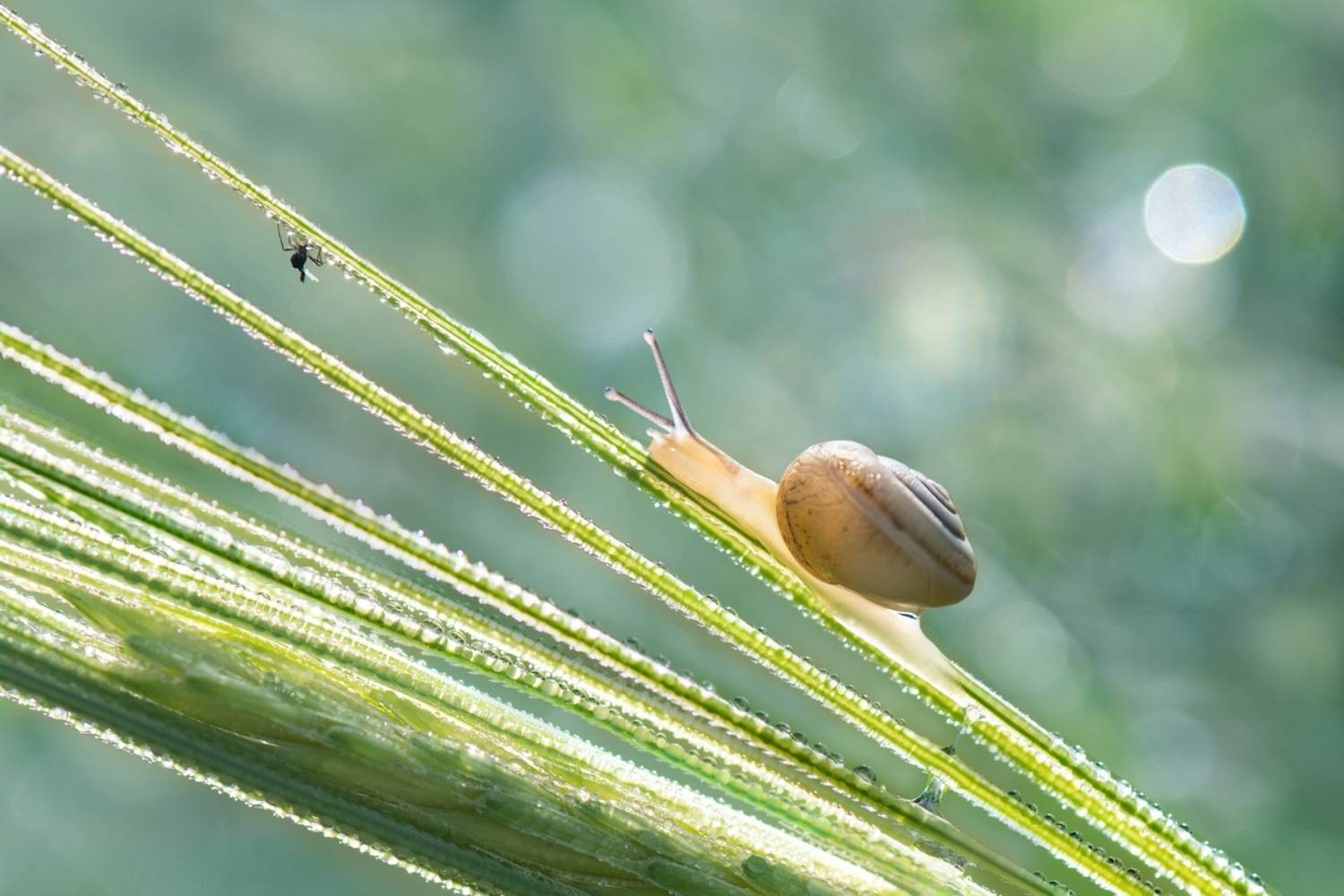 , Людмила Бекман