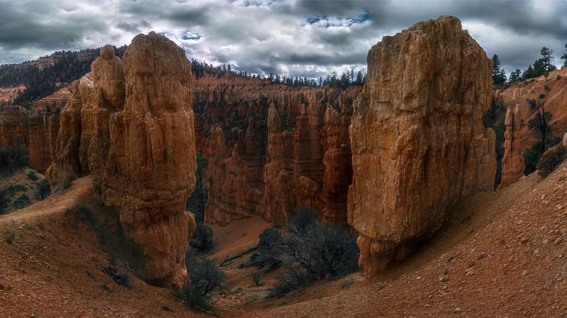 Вид фото превью