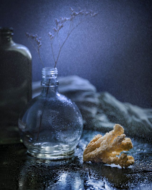 Натюрморт с кораллам фото превью