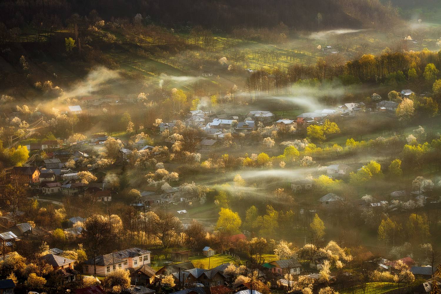 , Stefan Chirobocea