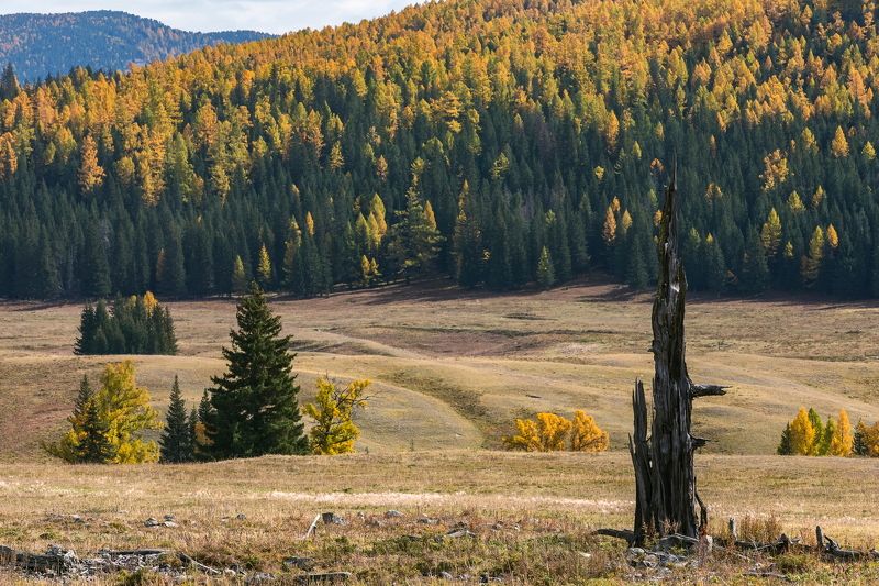 алтай.  фото превью