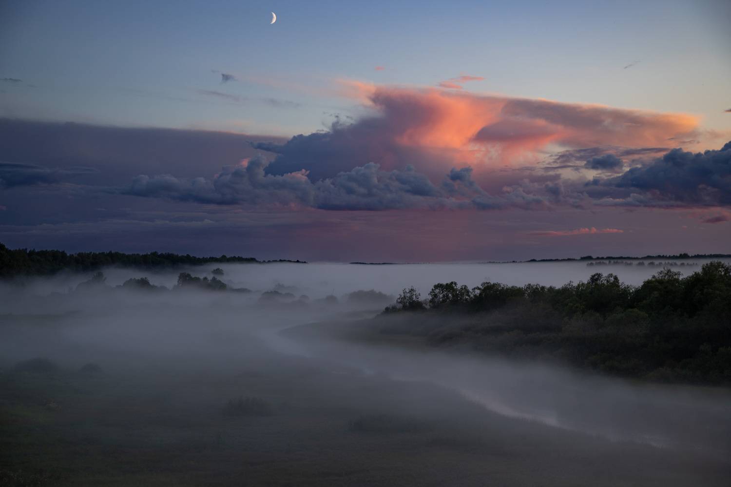 , Елена Герасимова