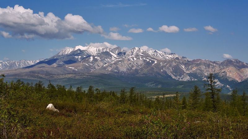 Мунку фото превью