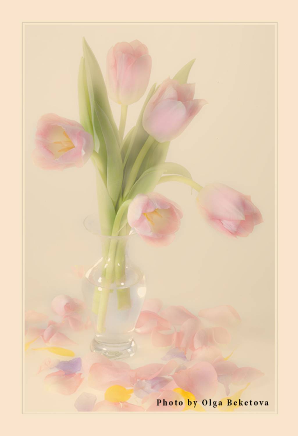 тюльпаны, ваза, весна, букет, Бекетова Ольга
