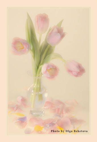 Тюльпаны в стеклянной вазе
