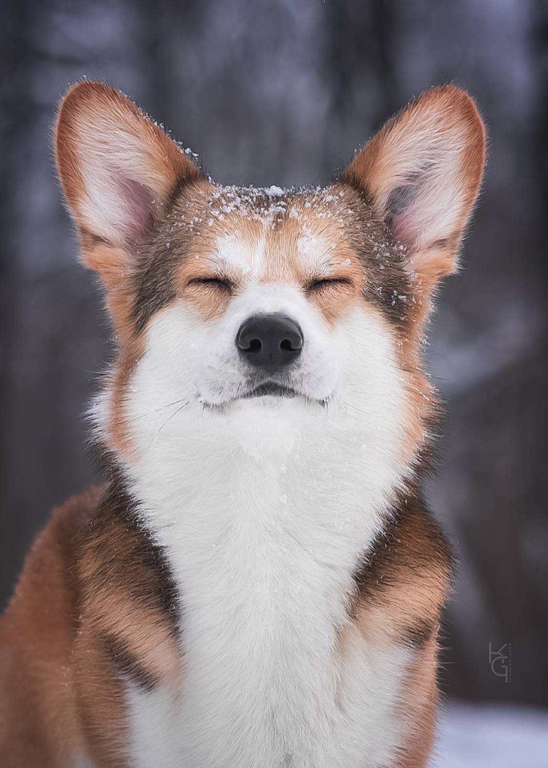 , Коптилина Галина