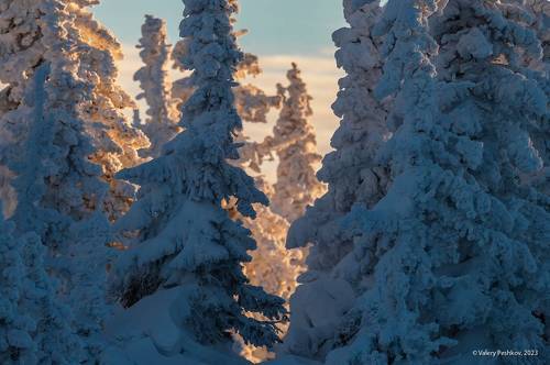 Какой вариант лучше?